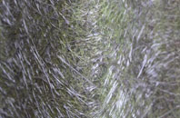 Gamlingay fibreglass roof work